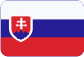 E.ON Česká republika, s. r. o. Slovensky
